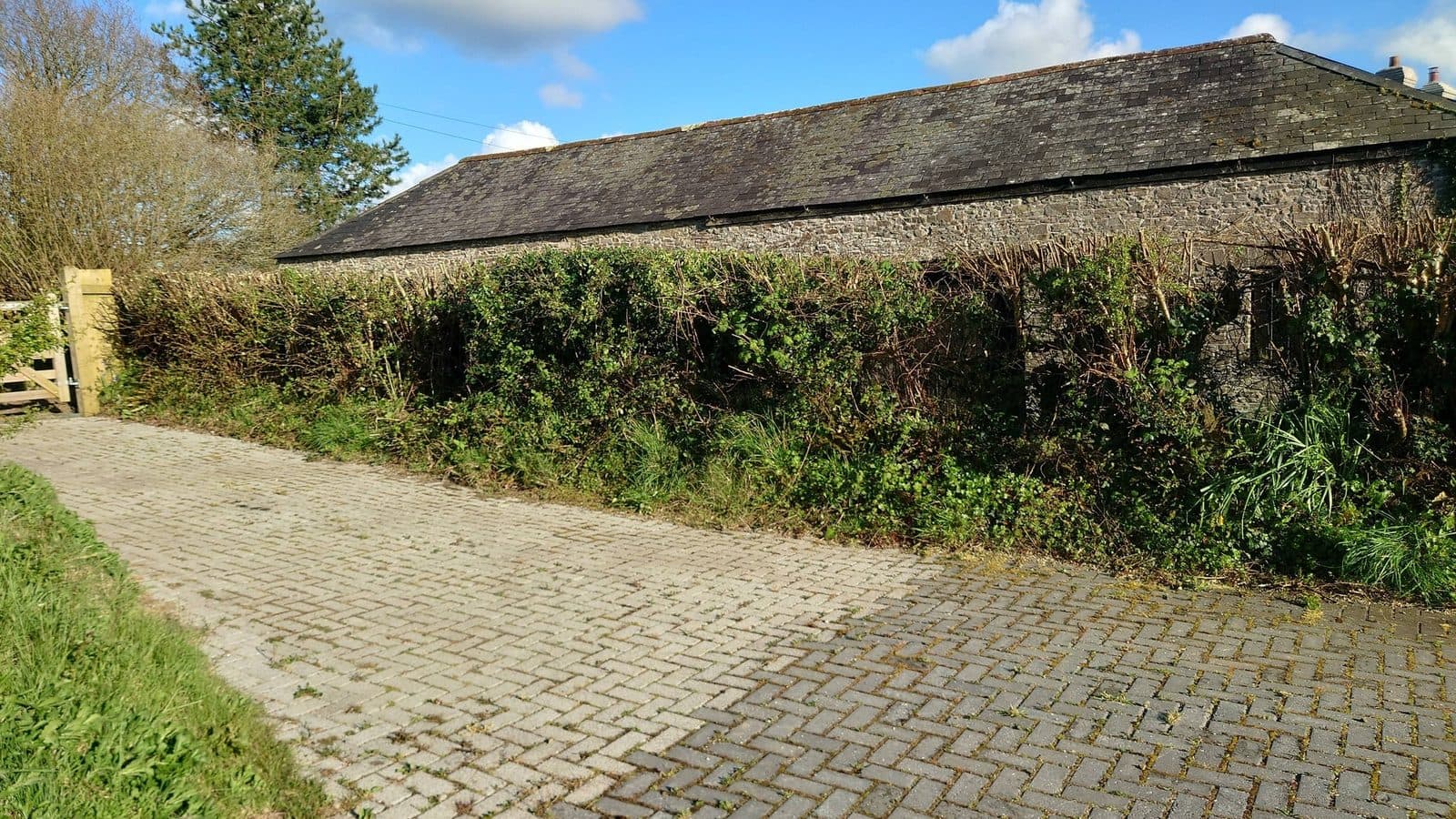 Stone barn with hedge cut back to clear a cobblestone driveway