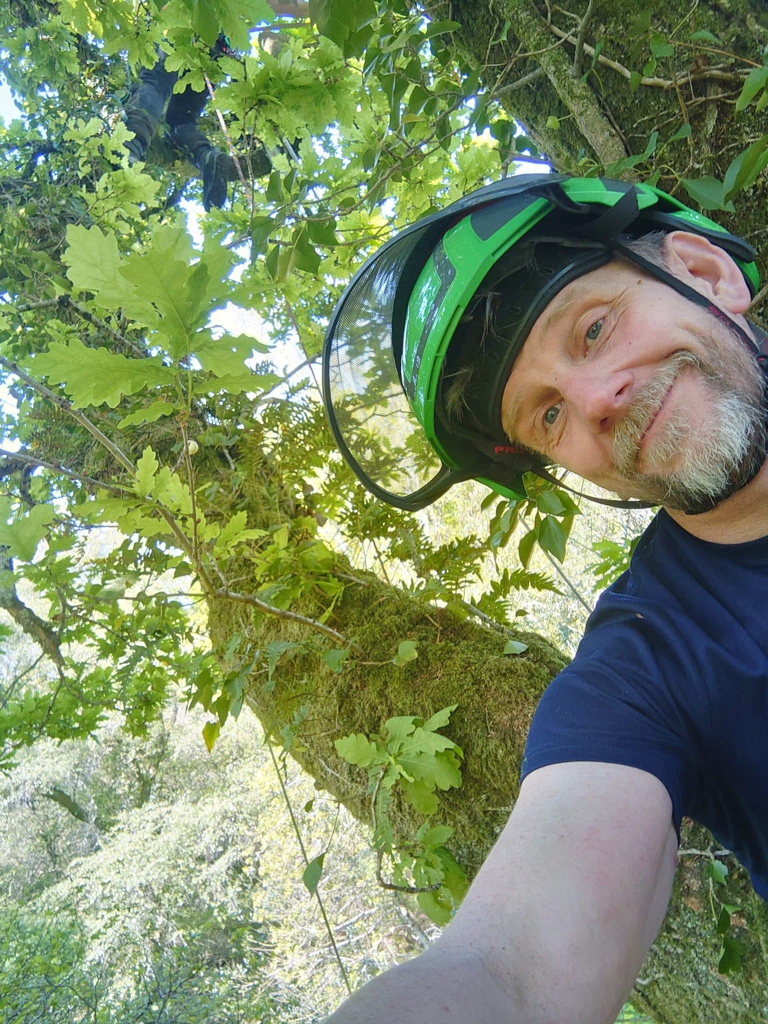 Graham Gray in PPE helmet up an English oak canopy in Black Torrington, Devon